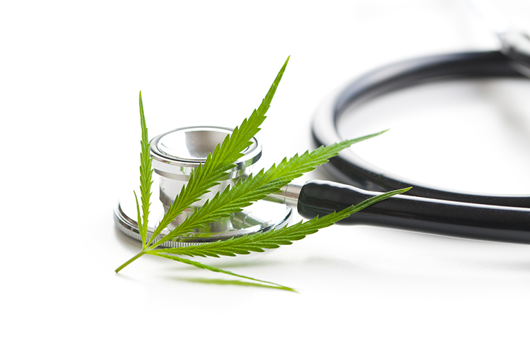 Is the Accounting Industry Chomping at the Bit for the Cannabis Industry?